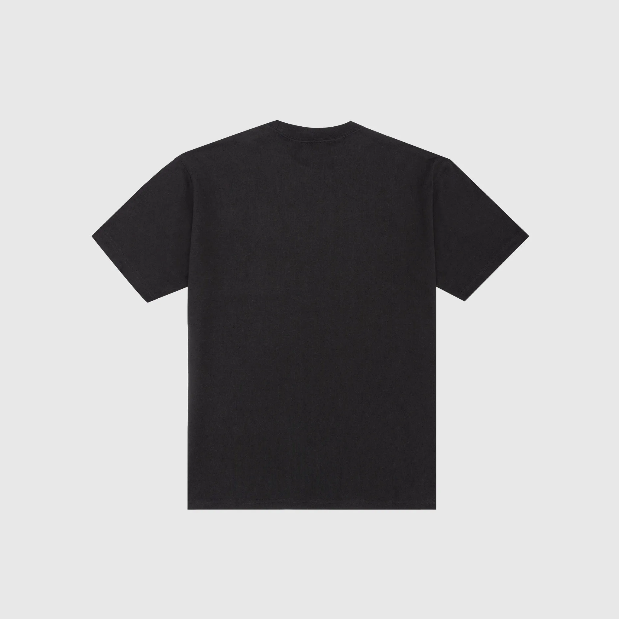 ACG IGUANA VEST S/S T-SHIRT