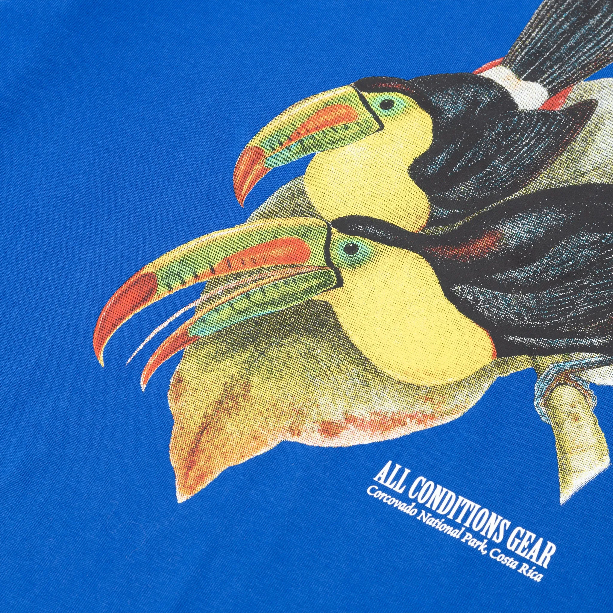 ACG TOUCAN S/S T-SHIRT GAME ROYAL