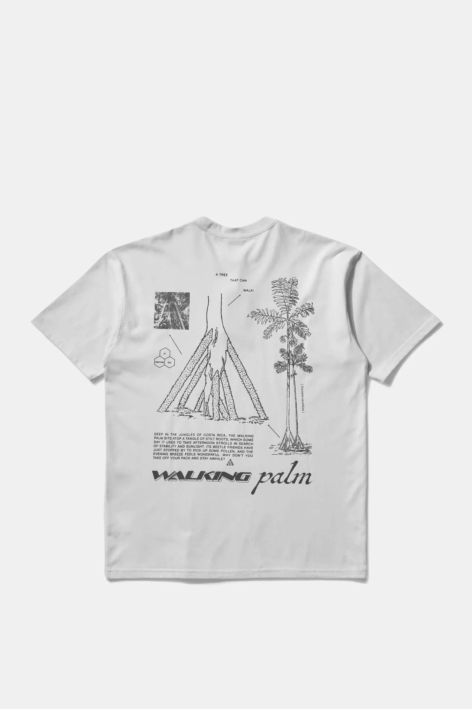 Nike ACG Walking Tree Dri-FIT T-Shirt