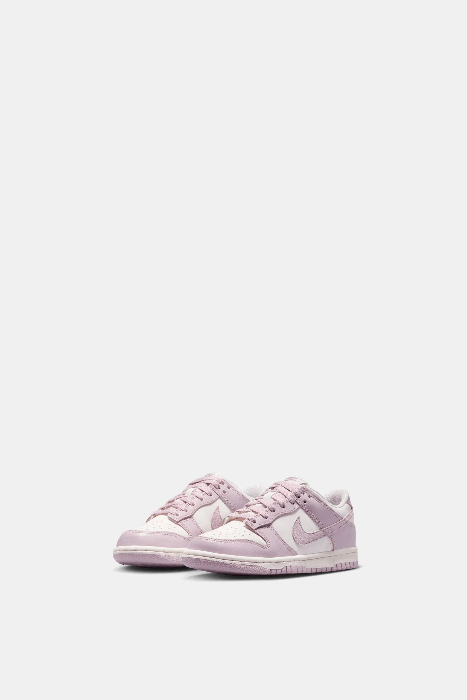 Nike Dunk Low (GS)
