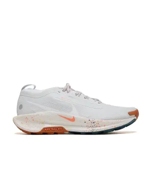 Nike Pegasus Trail 5 GTX Pure Platinum/White