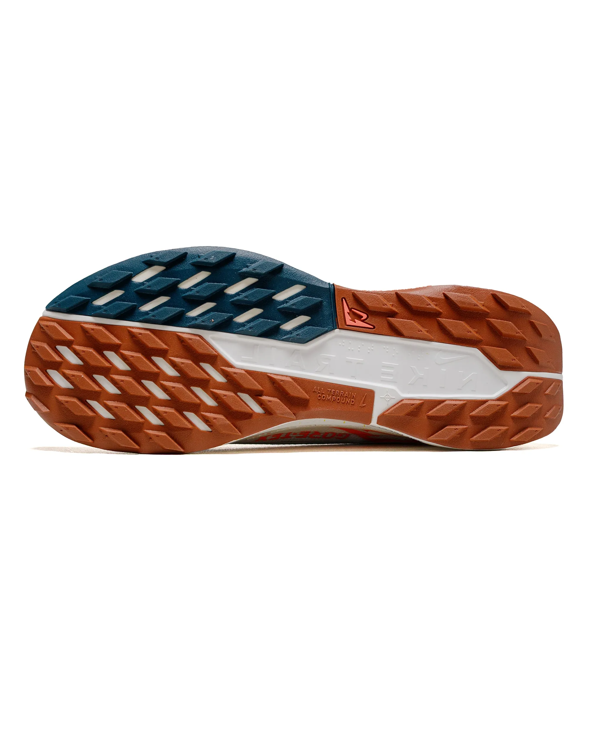 Nike Pegasus Trail 5 GTX Pure Platinum/White