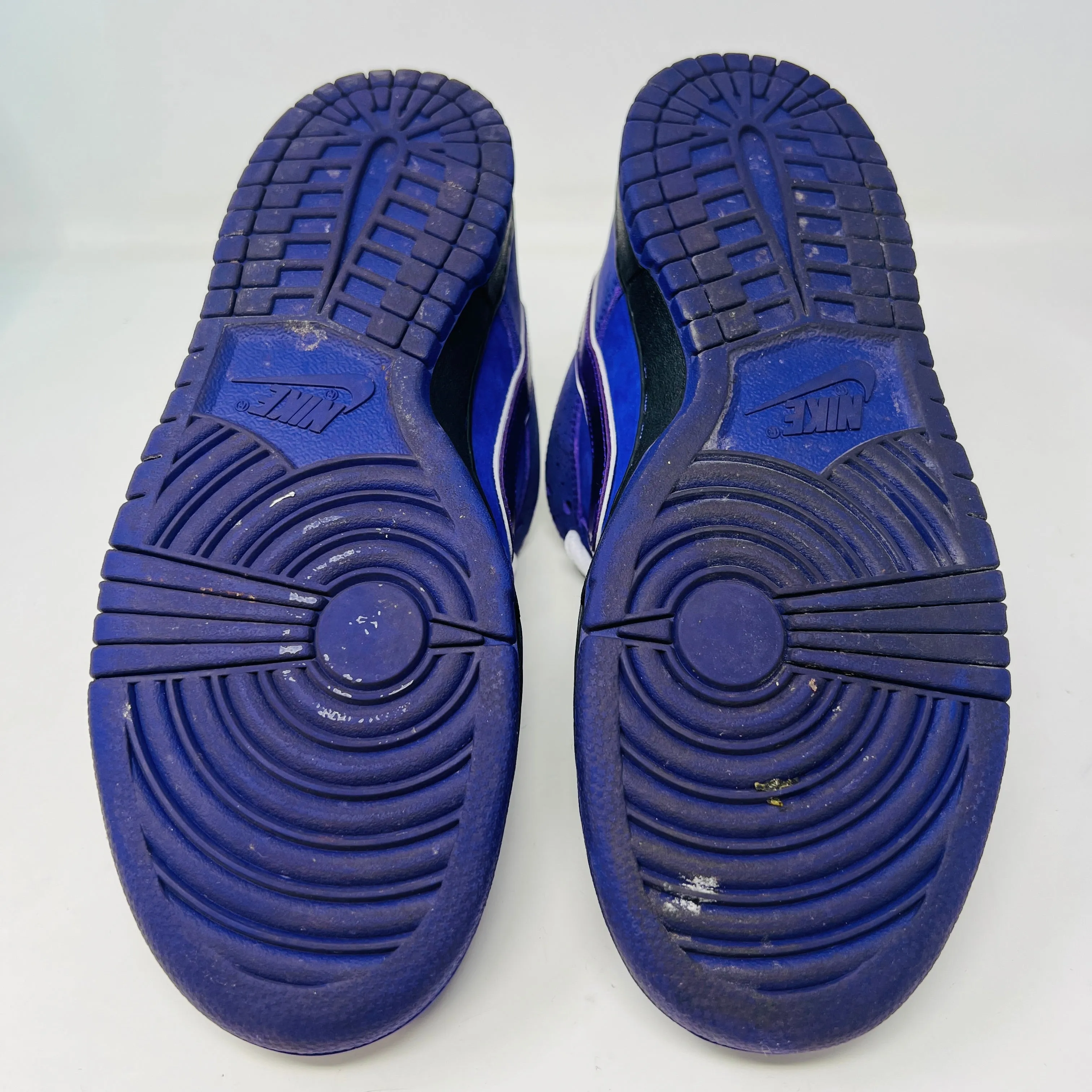 Nike SB Dunk Low Concepts Purple Lobster