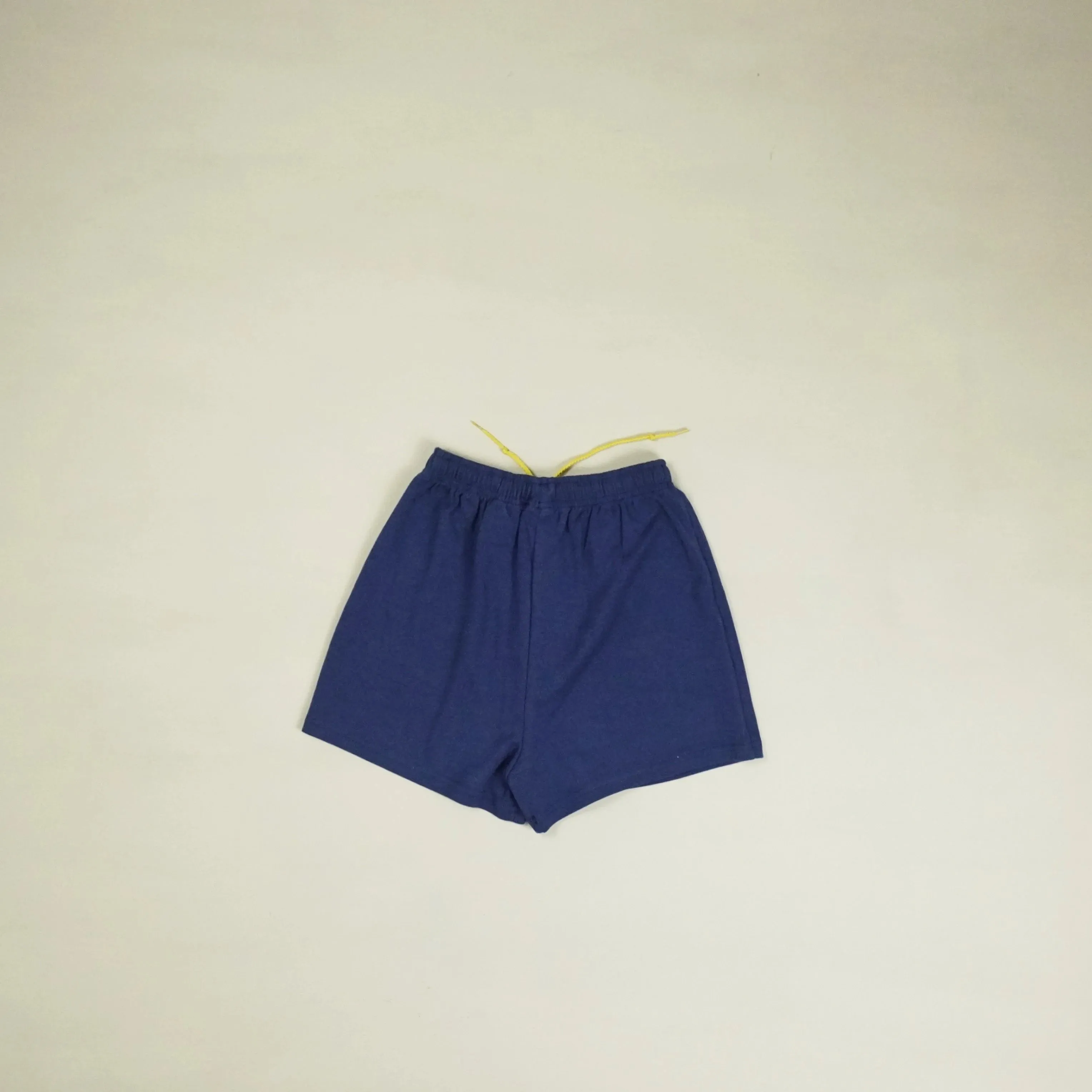 Vintage Blue Nike Shorts (XS)